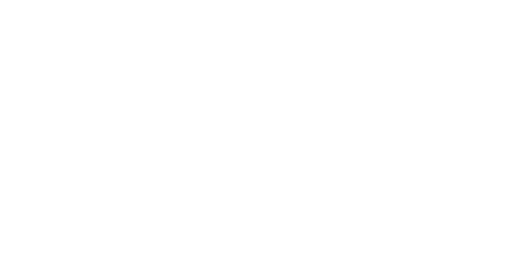Bringer Sea-Air